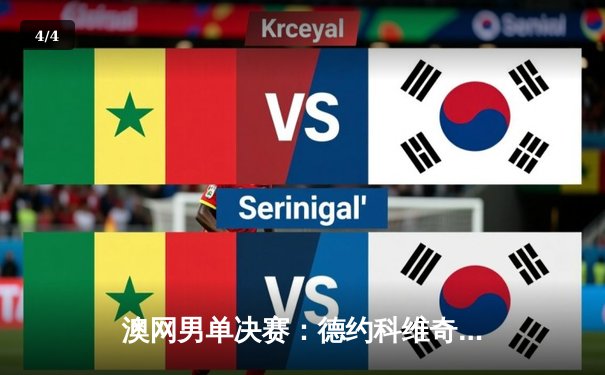 澳网男单决赛：德约科维奇3-2逆转梅德韦杰夫，斩获第24座大满贯 - 4